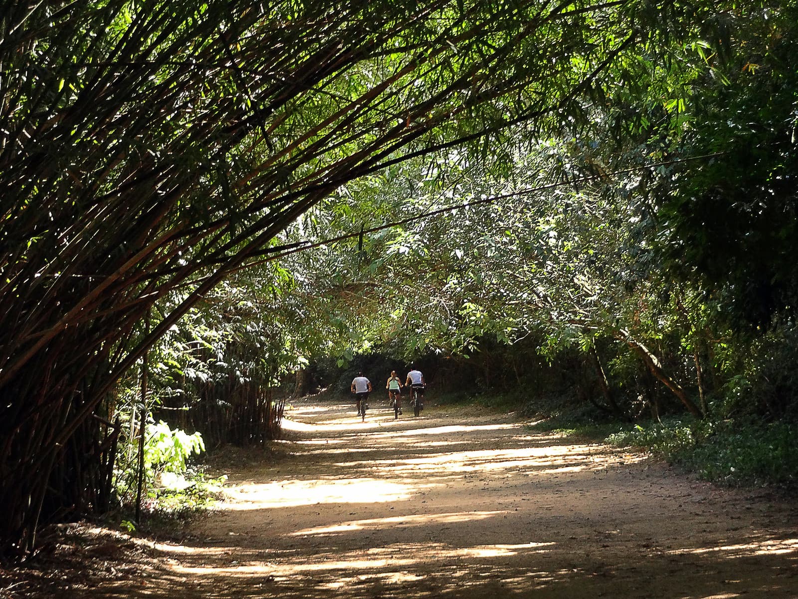 Andar de bicicleta pelas trilhas