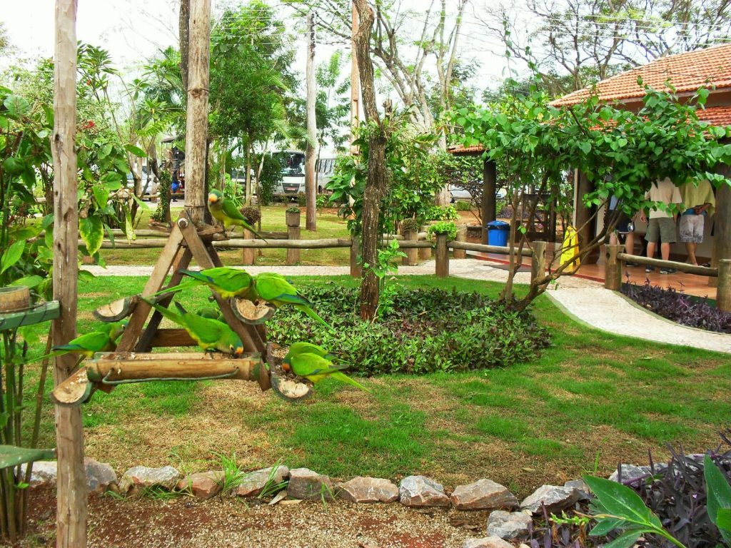 Fazenda San Francisco