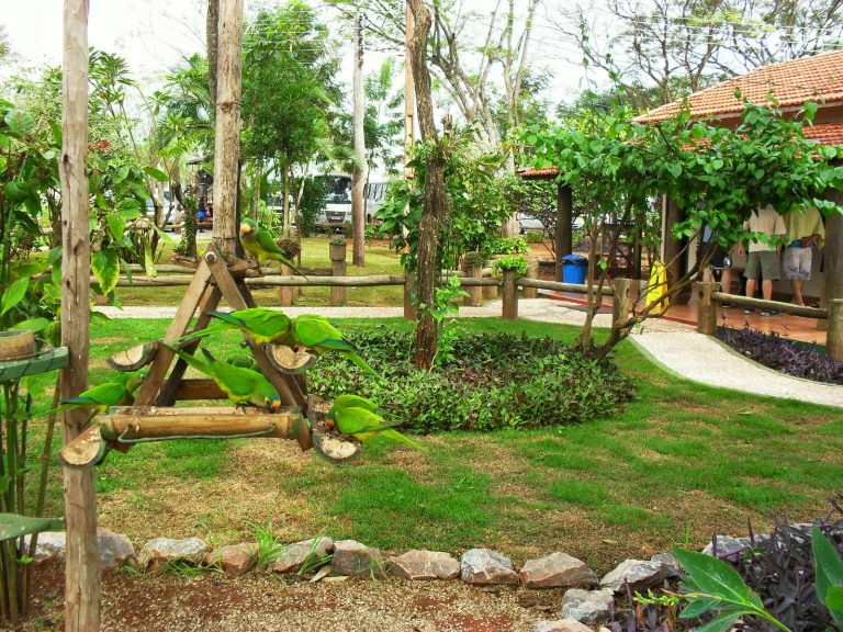 Fazenda San Francisco