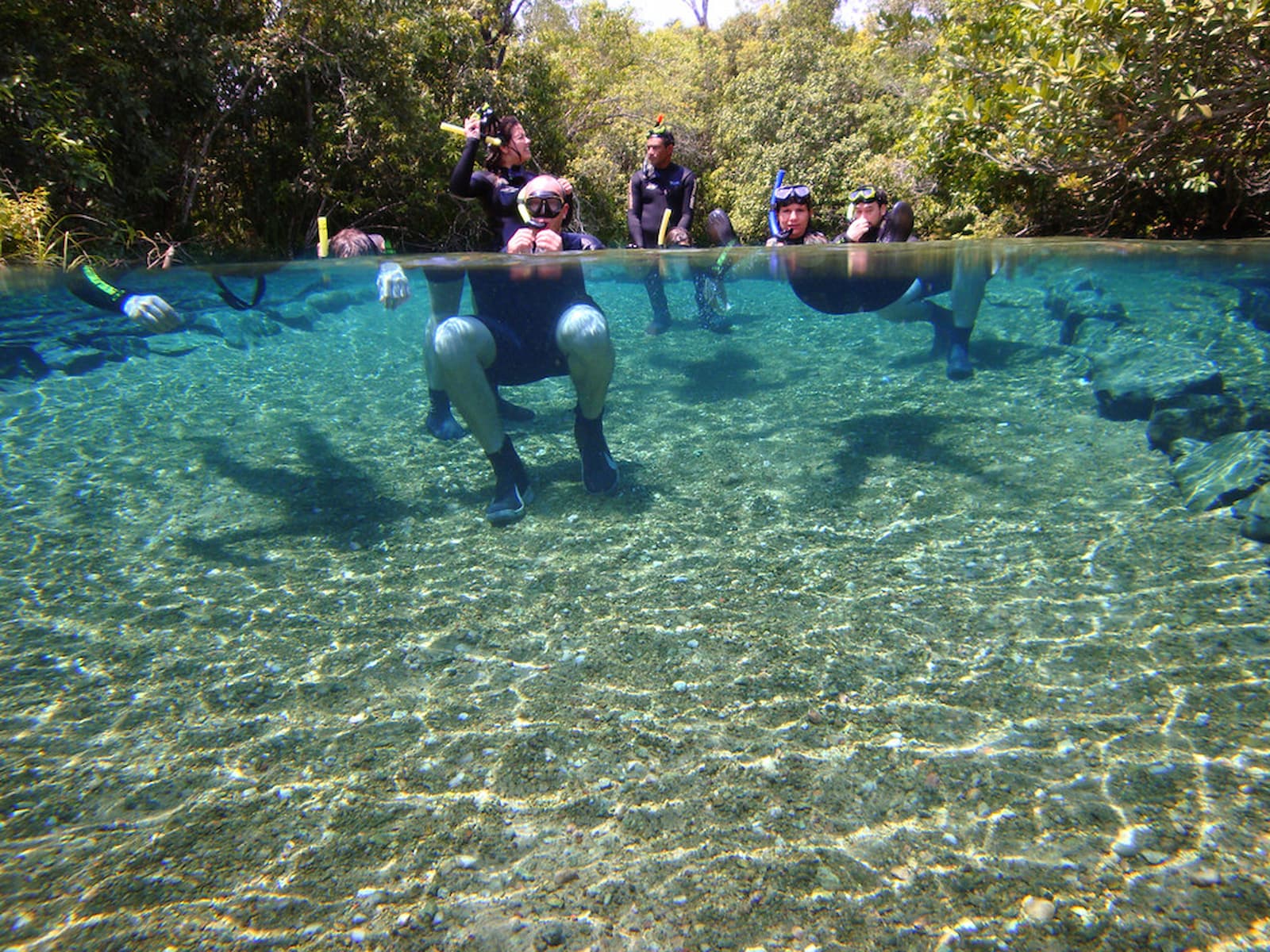 Bonito