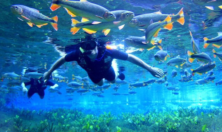 Aquário Natural de Bonito