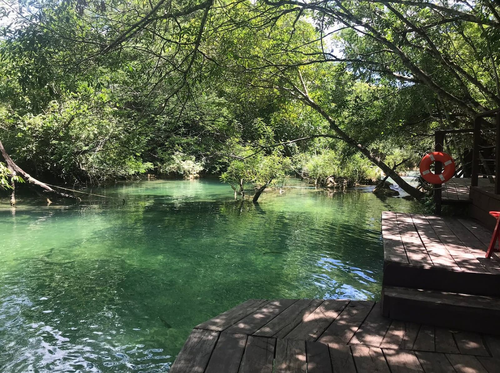 Bosque das Águas