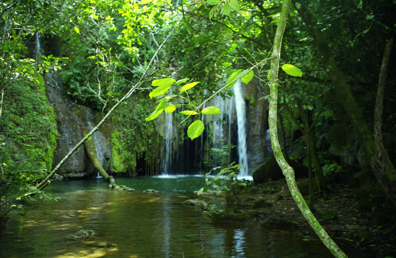 Estância Mimosa
