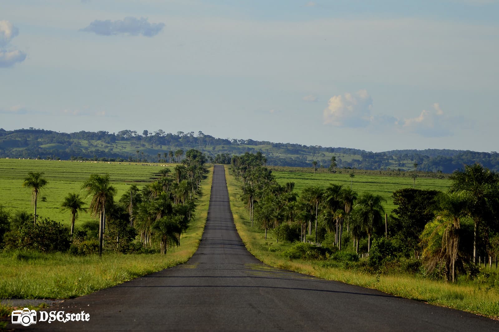 Estrada para Bonito