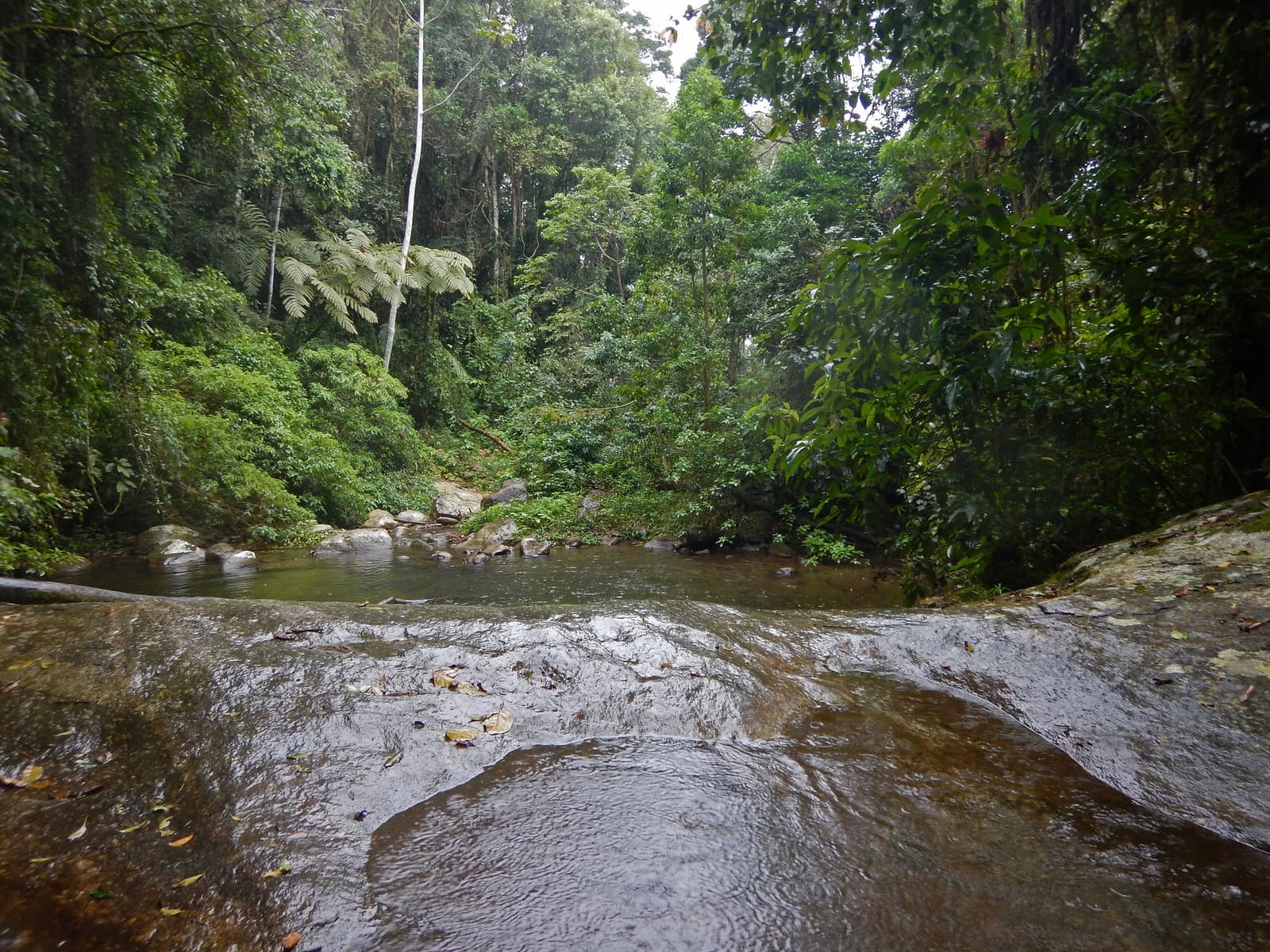 Fazenda Ceita Corê