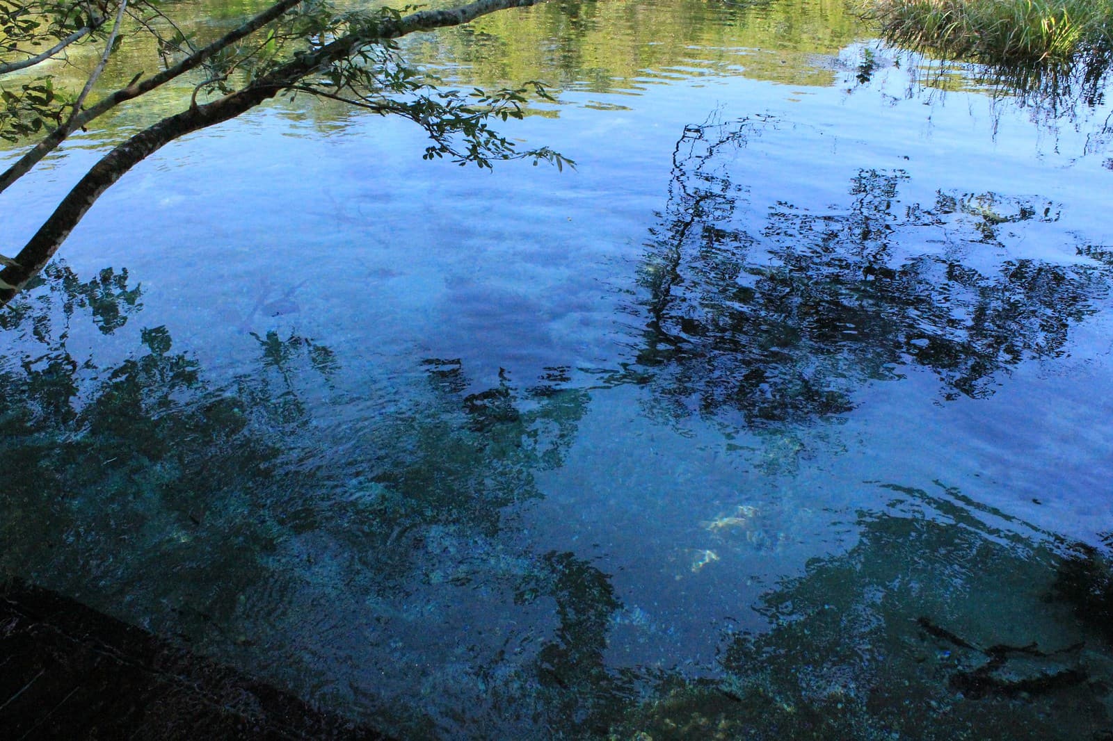 Rio Sucuri (Flickr)