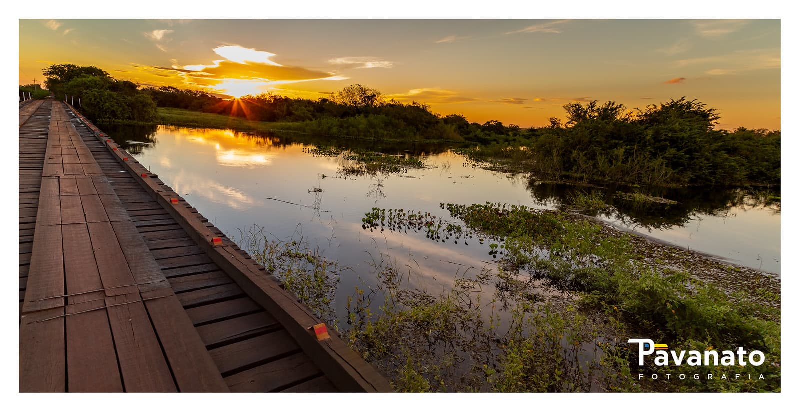 Estrada Parque Pantanal Sul