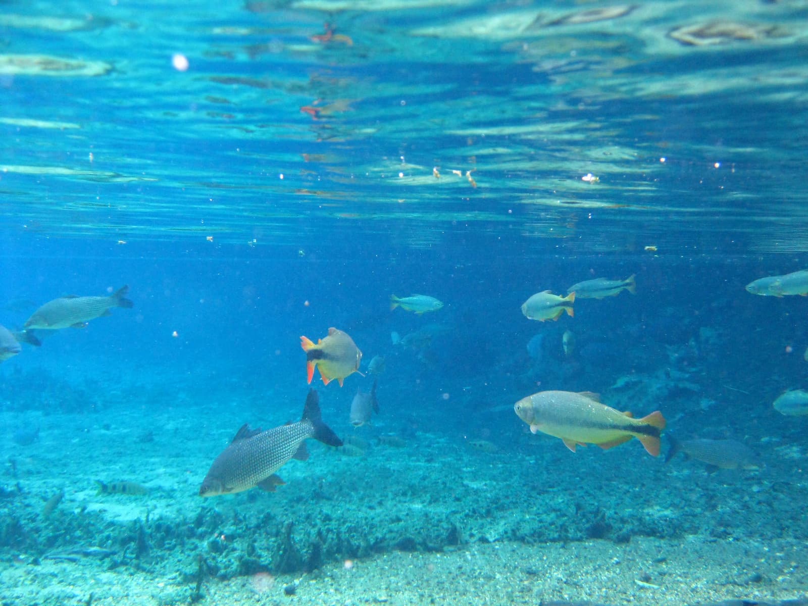 Recanto Ecológico Rio da Prata