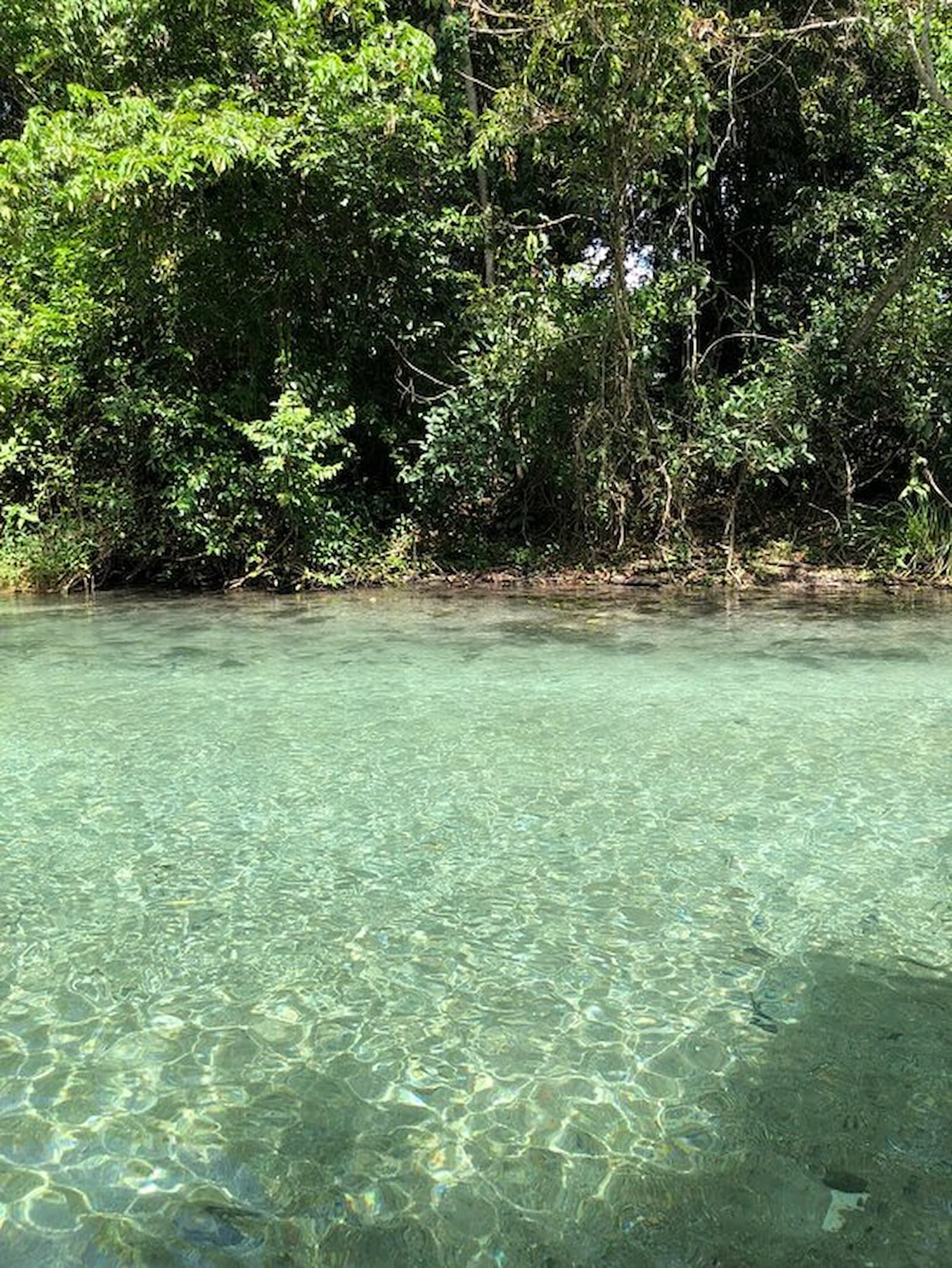 Balneário Refúgio da Barra