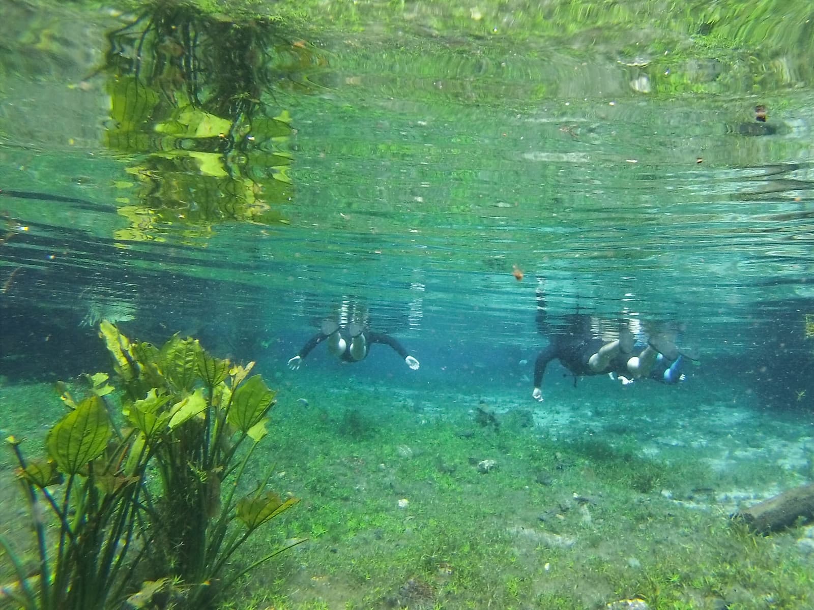 Flutuação Nascente Azul