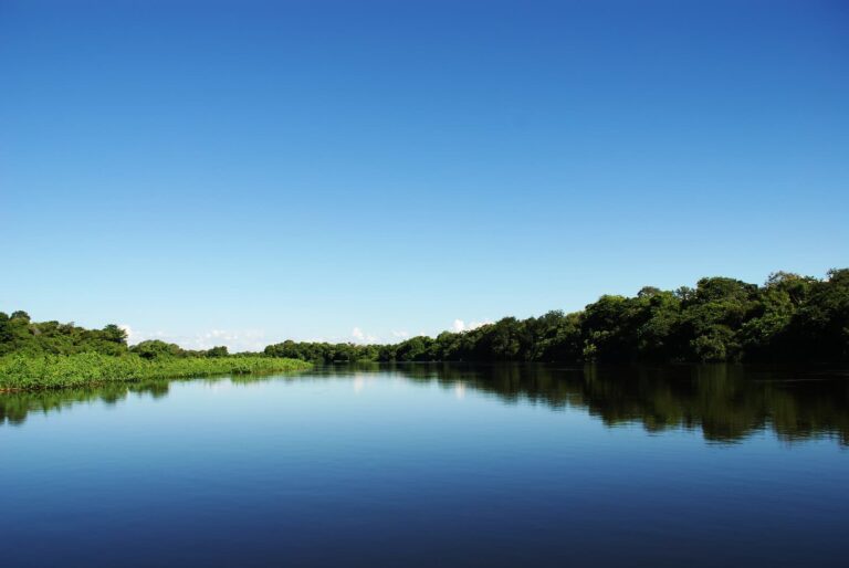 Rio Miranda