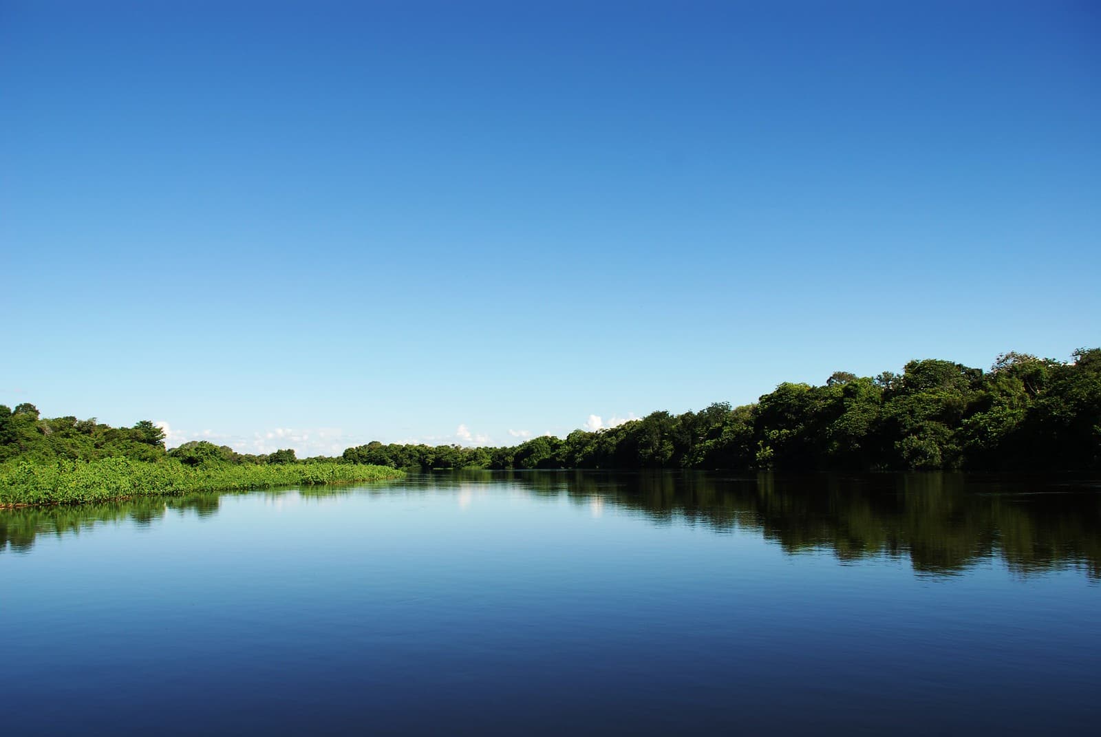 Rio Miranda