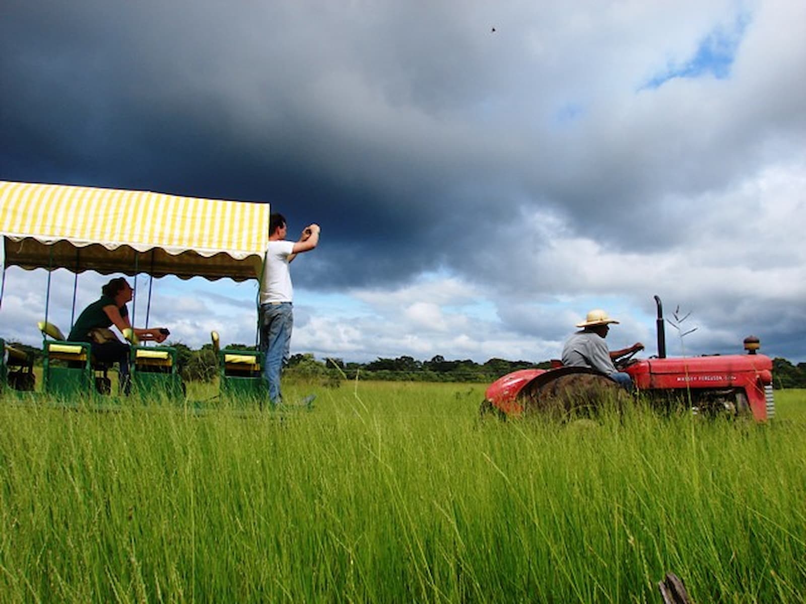 Safári Fotográfico no Pantanal