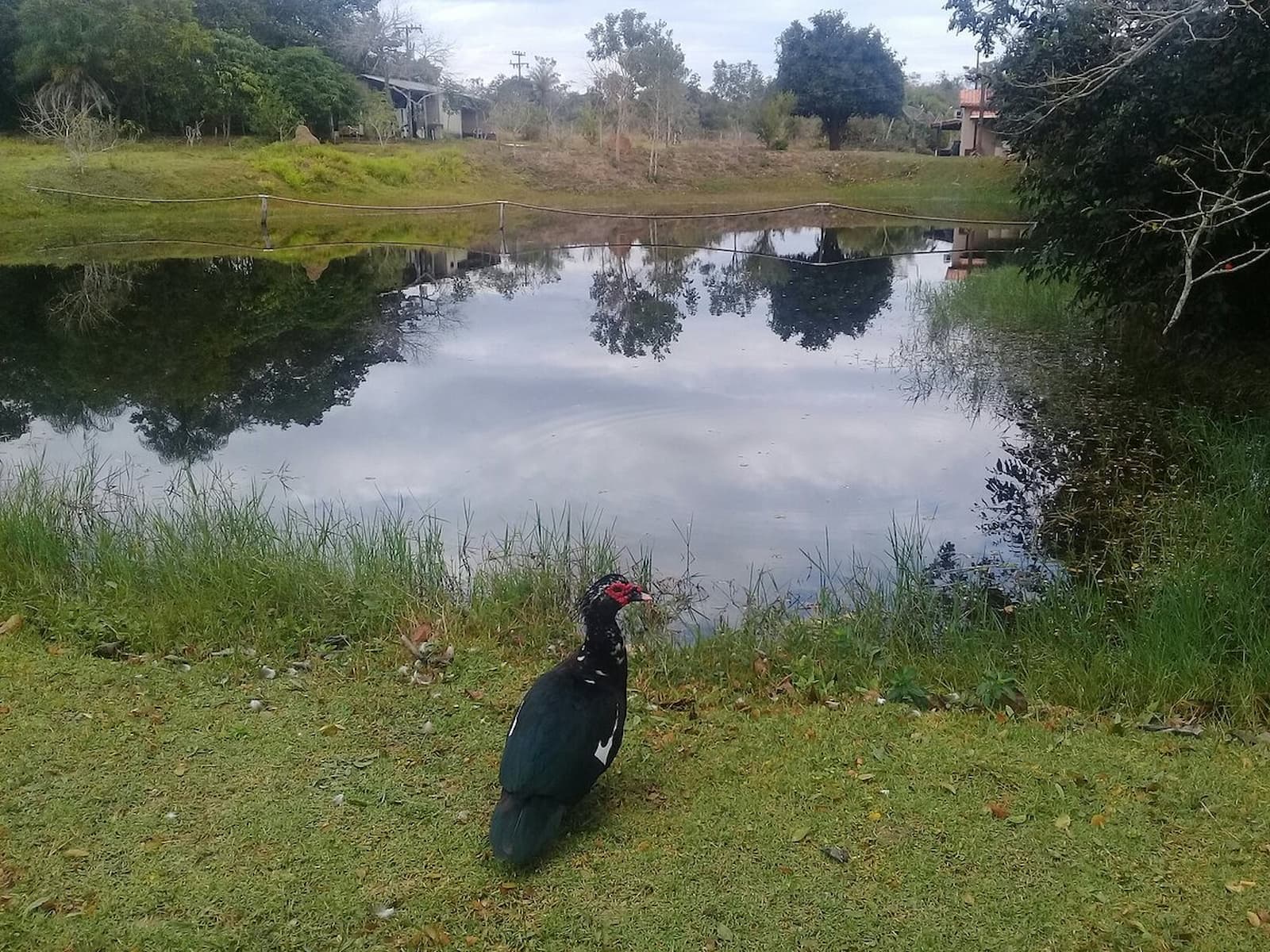 Balneário do Assis